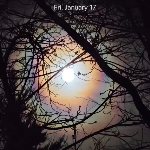 creator ilovetaklke's avatar