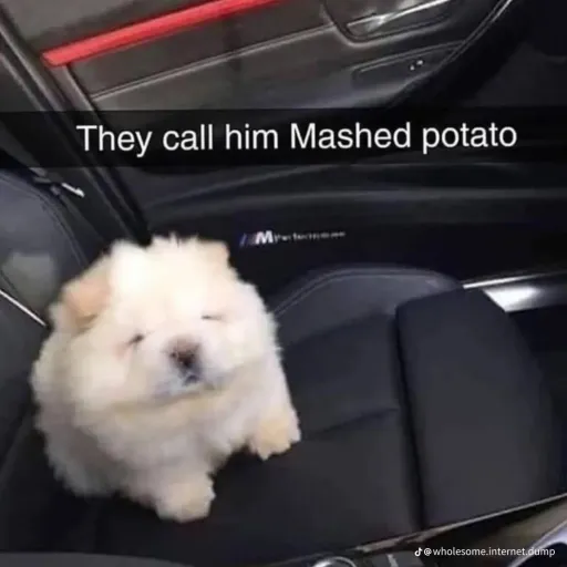 creator Doggoblud's avatar