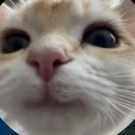 creator YourLocalMazon's avatar