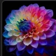 creator Kya roque's avatar