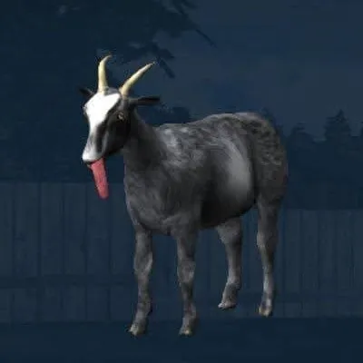 creator idiot!'s avatar