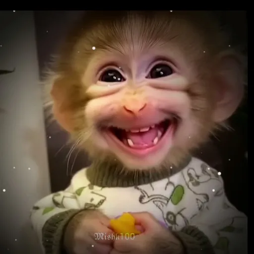 creator 💀☠️NĒVĒNÄ☠️💀's avatar