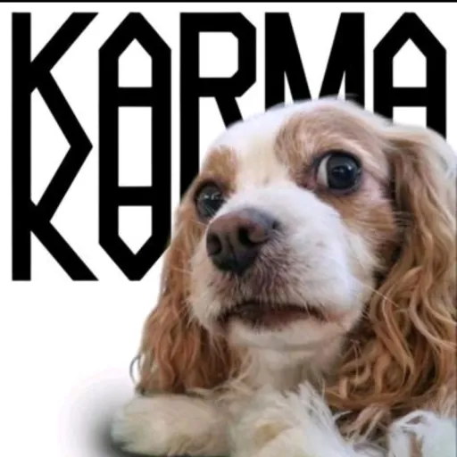 creator leeknowmybigdaddy's avatar