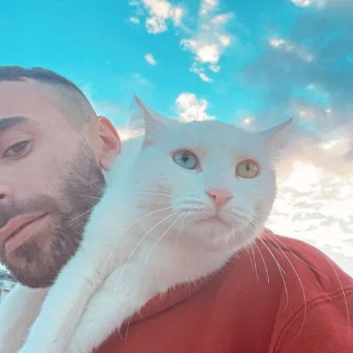 creator AddictToGames's avatar