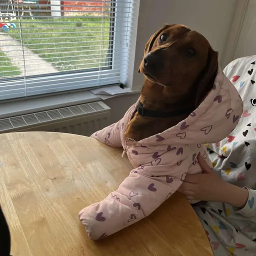 creator Ruby O'Sullivan's avatar