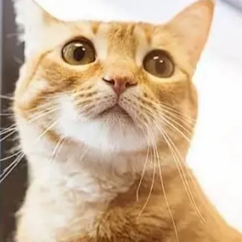 creator JeK.2.0's avatar