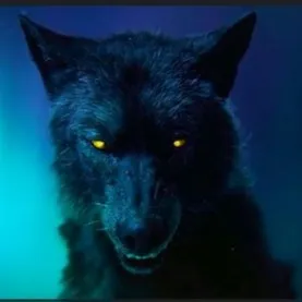 creator HYPOCRITICAL's avatar