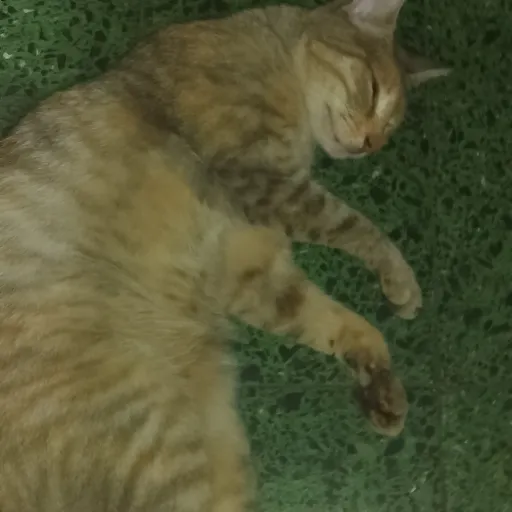 creator GATIFAIL's avatar