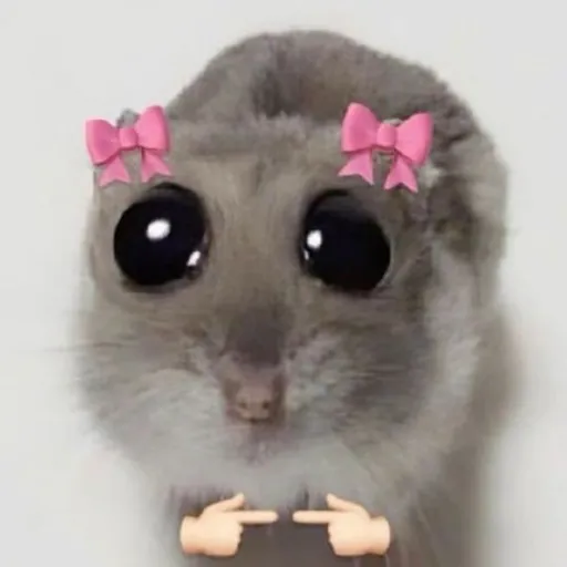 creator MIA XD😝💖🫶🫦's avatar