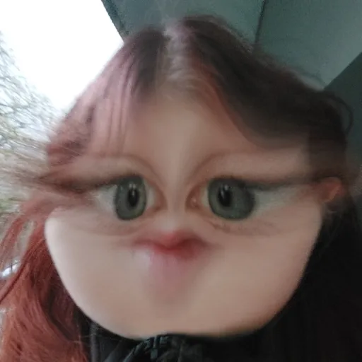 creator | Ayla |'s avatar