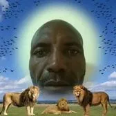 creator SailerHienz's avatar