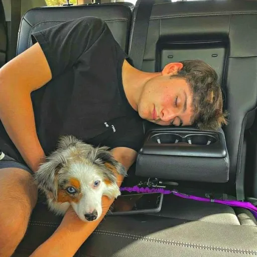 creator ☆~noah~☆='s avatar