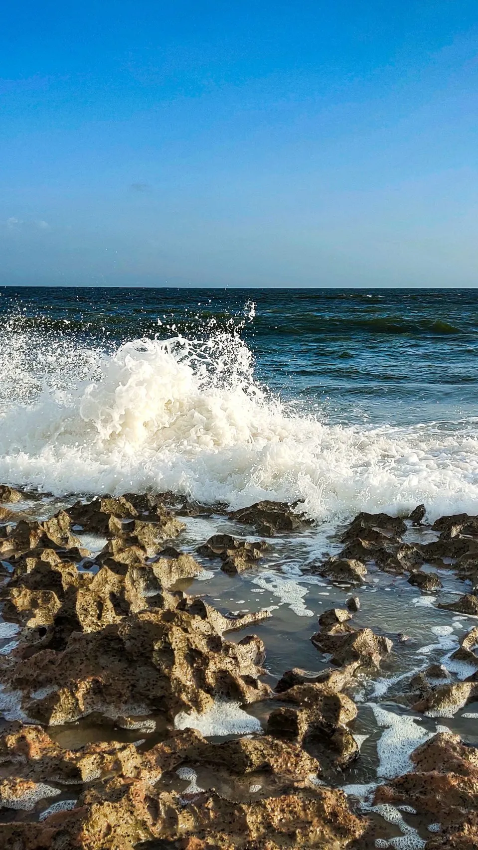 ai character: ~ninjago beach~ background