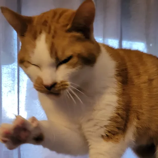 creator kmarie1996's avatar