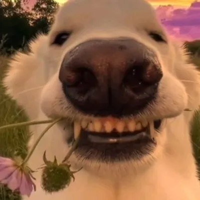 chat with ai character: ur lovely dog(enn)