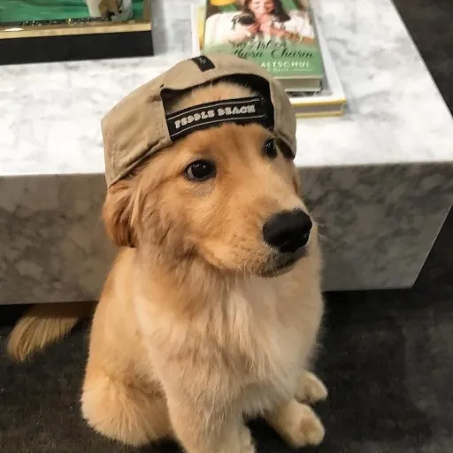 creator Jabetas677k's avatar