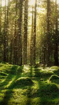 ai character: Fluffa forest background