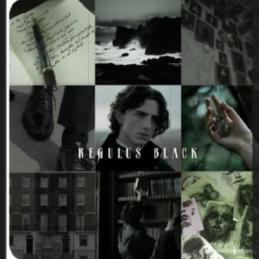 creator regulus black💚🐍's avatar