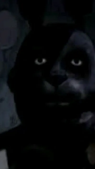 ai character: HH x TADC background