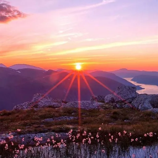 creator no one is here >:)'s avatar