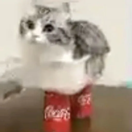 creator Mowji's avatar