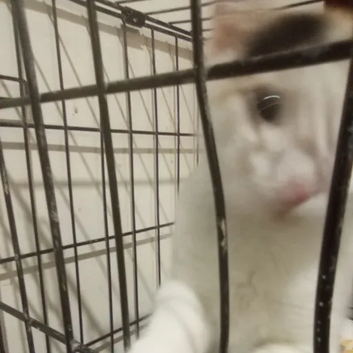 creator Flumpus Doodlefart's avatar