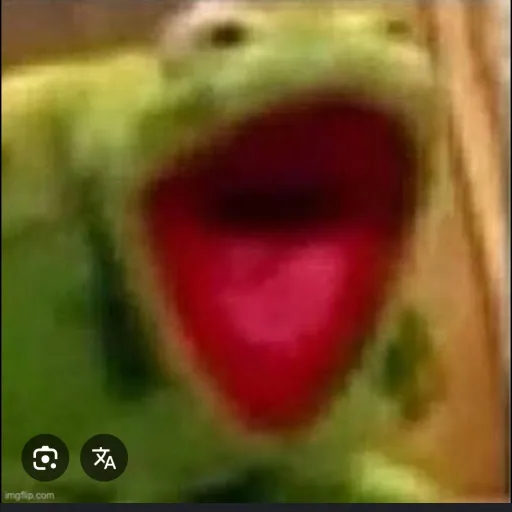 creator muppet maybe's avatar