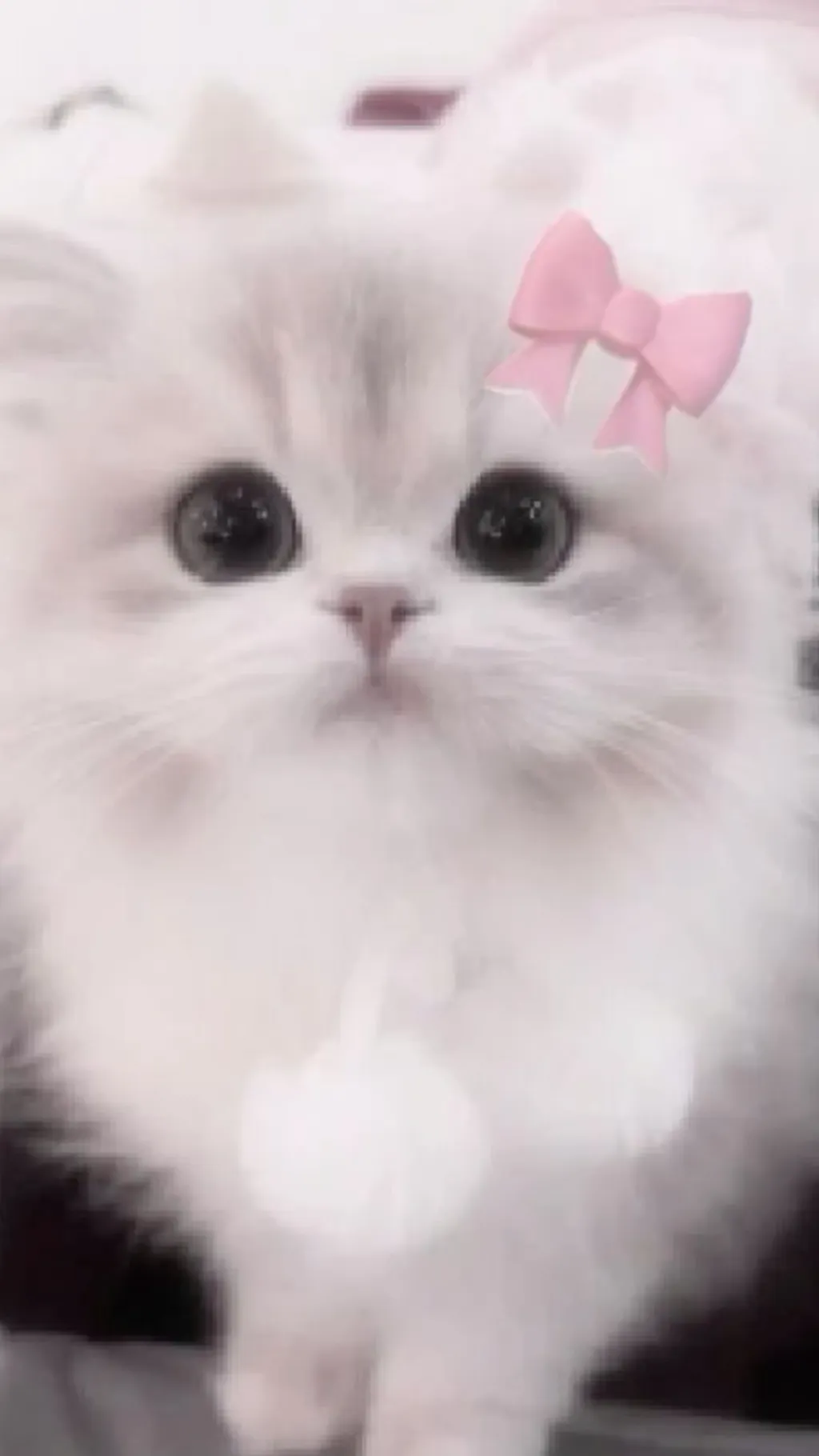 ai character: CARTER harmon background