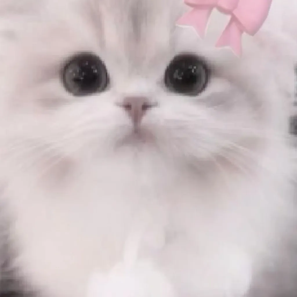 chat with ai character: CARTER harmon