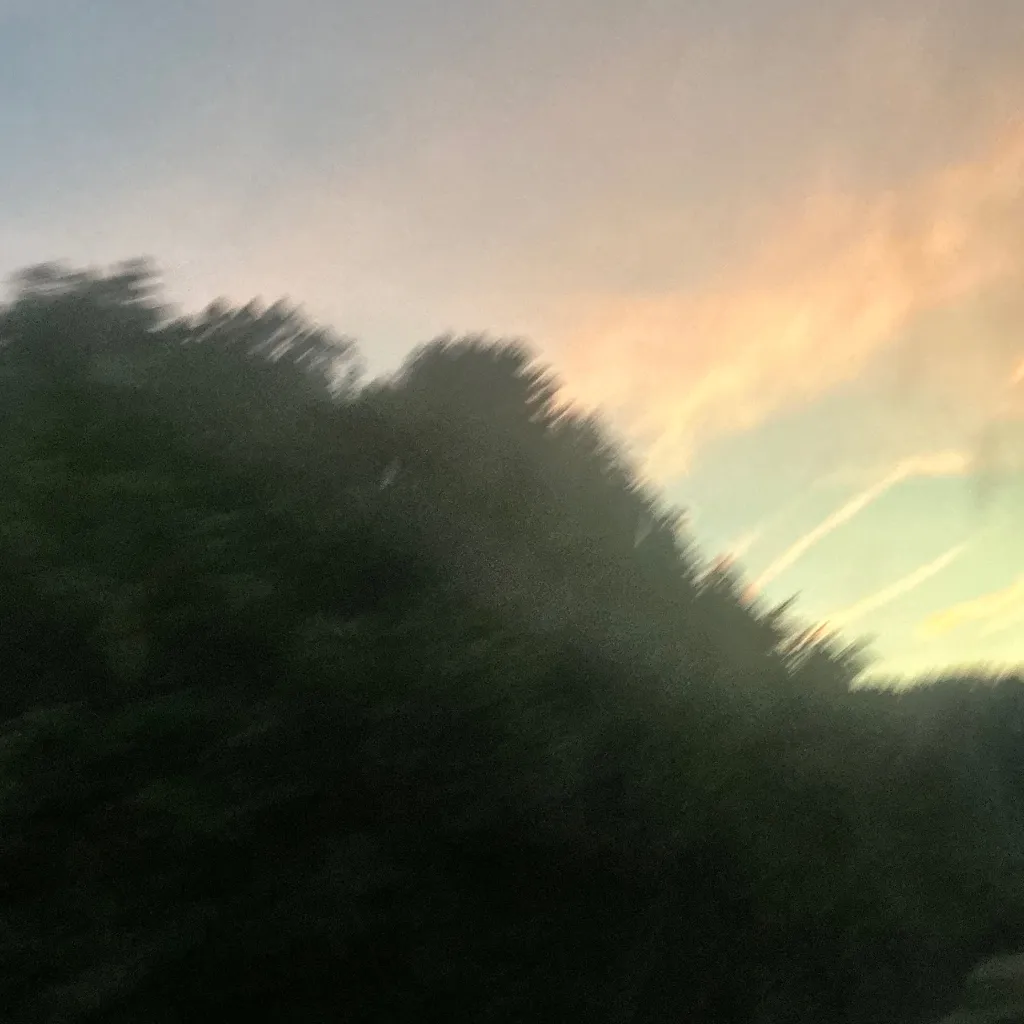 chat with ai character: Carter