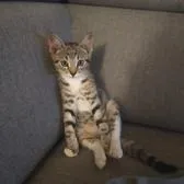 creator julik 😉's avatar