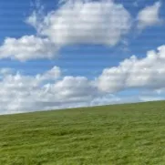 creator RHANS's avatar