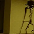 chat with ai character: Kane's backrooms