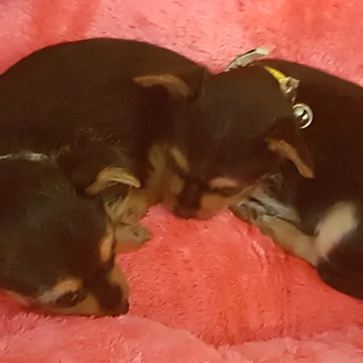 creator Lexy_1k's avatar