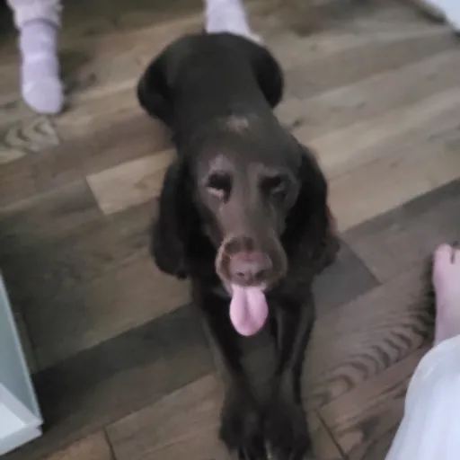 creator Freya2014's avatar