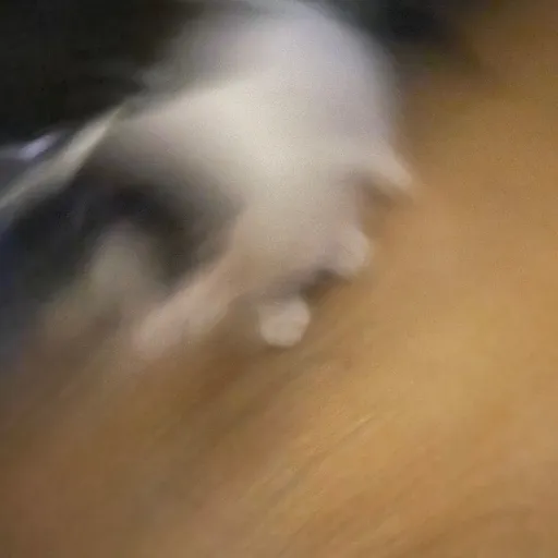 creator Tears.'s avatar