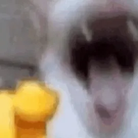 chat with ai character: Ninjago x my oc!