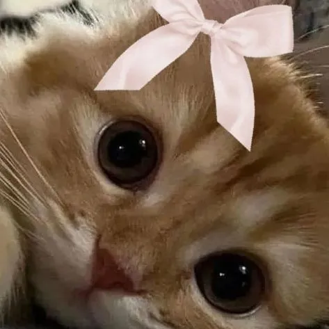 creator Evaa....'s avatar