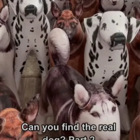 chat with ai character: The clan sad talki