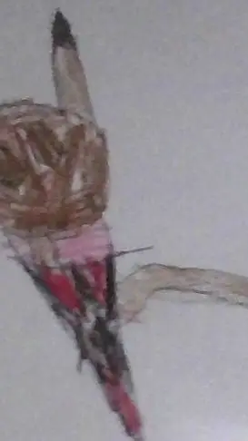 ai character: sprunki killer background