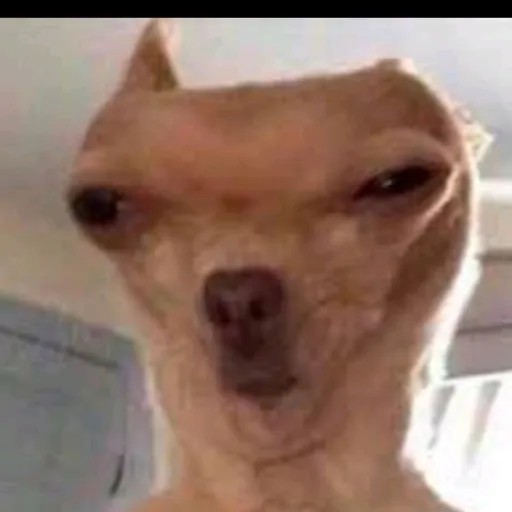 creator ∆~°LILY°~∆'s avatar