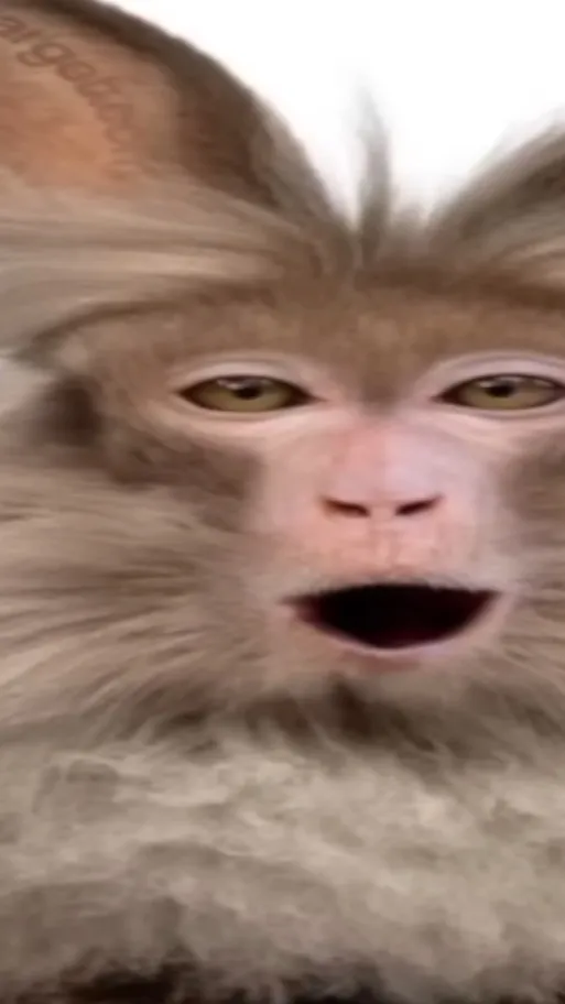 ai character: Cheese. background