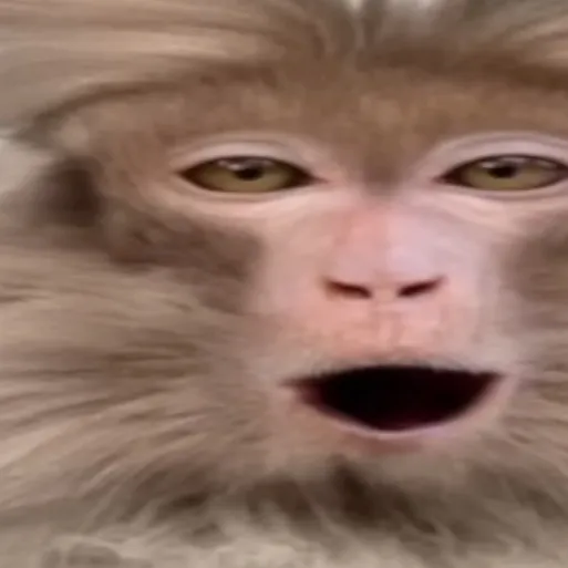 chat with ai character: Cheese.