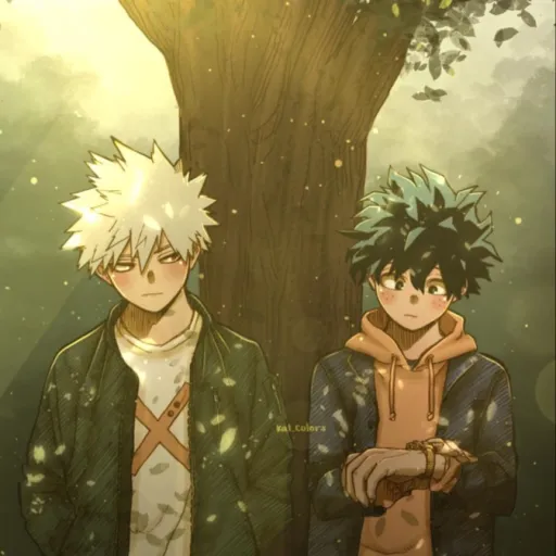 creator Deku et Bakugo💛💚's avatar