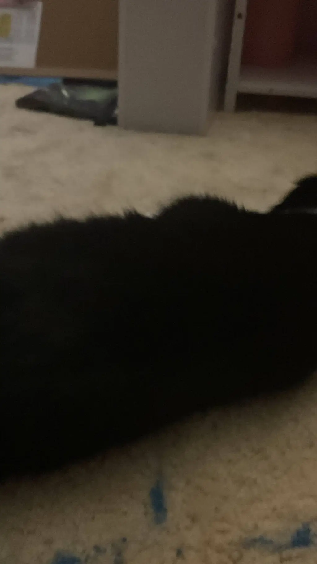 ai character: Kid hungry furry background