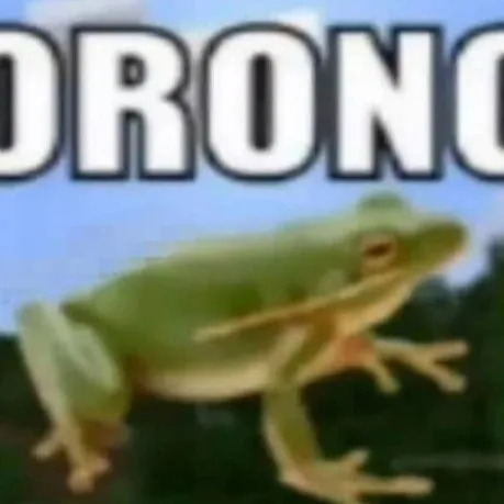 creator Sapito🗣🔥's avatar