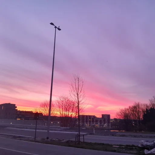 creator zylona🤘🤘🤘🤘💀💀☠️👿🤬🤬's avatar