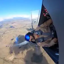 creator card bord box's avatar