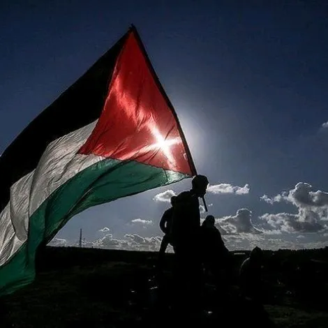 creator free_pales🇵🇸🇵🇸🇵🇸🤝🤝's avatar