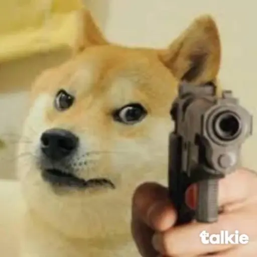 creator doge 🤑🤙🏻's avatar